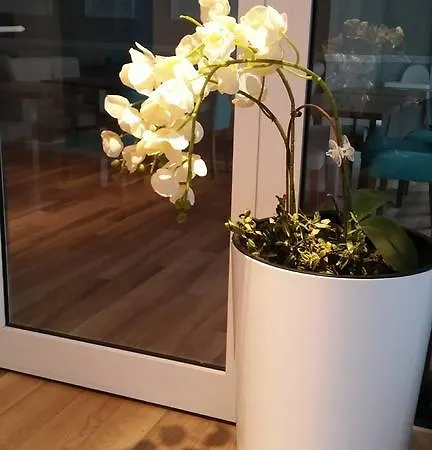 Holidayhomepl Loft Z Antresola I Balkonem Przy Plazy Appartamento